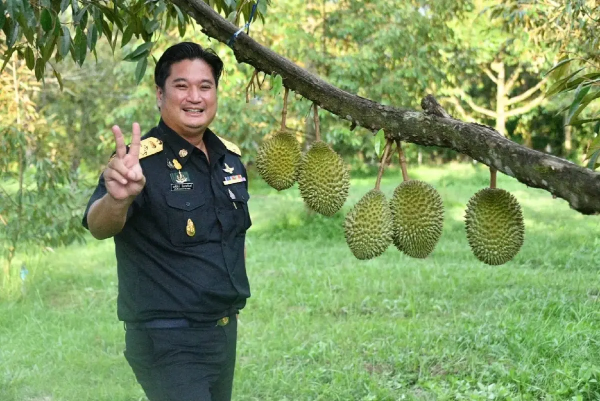 ดรามาสะเทือนกว่างโจว!  "ทุเรียนลม" โผล่จีน กรมวิชาการเกษตรขยับด่วน เจ้าของสวนโวยถูกสวมสิทธิ์ รุดแจ้งความ