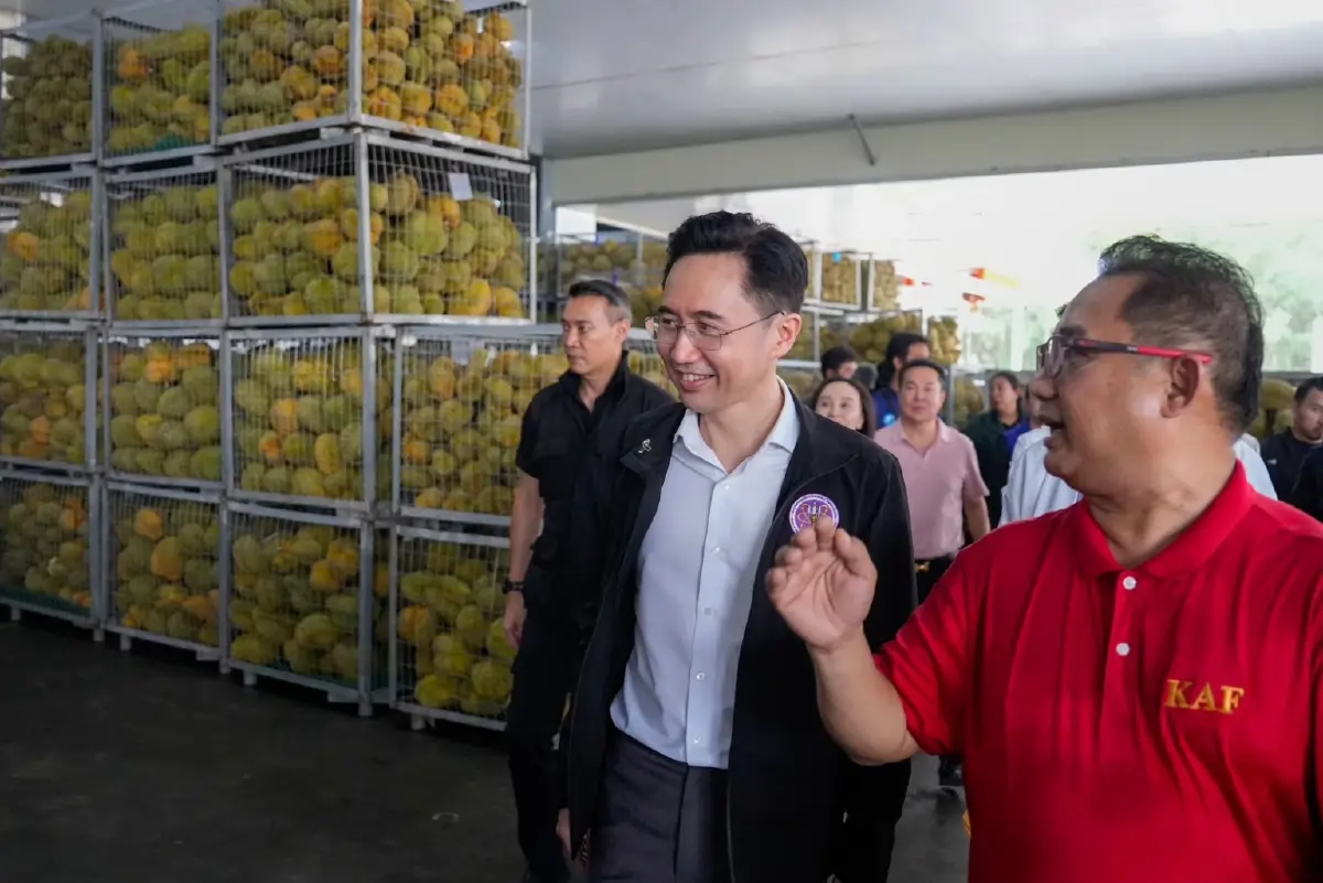 พลิกโฉมทุเรียนไทย รมว.ยศชนัน ลุยจันทบุรี ชูใช้ AIคัดเกรดทุเรียนส่งออก