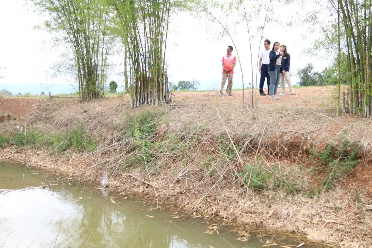 "ธนาคารที่ดิน" ลุยเพชรบูรณ์ ตามผลวิสาหกิจชุมชน ปลื้มเกษตรกรทำกินยั่งยืน พลิกฟื้นผืนดินสร้างรายได้มั่นคง