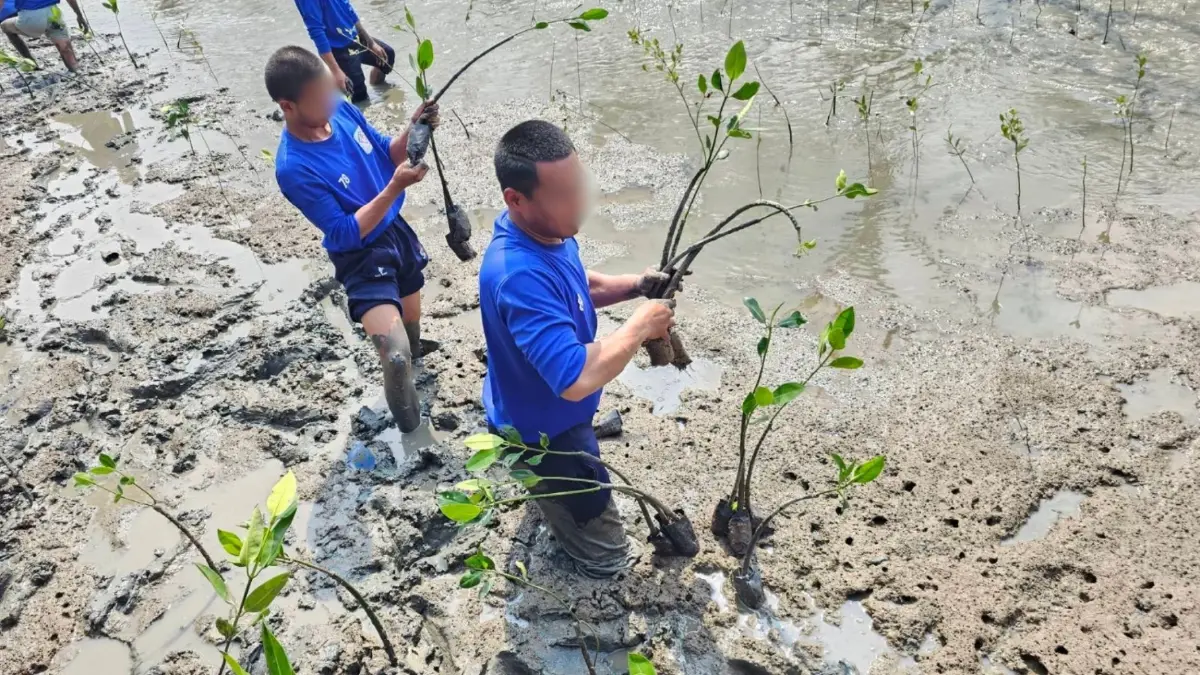 มูลนิธิกู้ภัยร่มไทร-เครือข่าย ร่วมปลูกป่าชายเลน เฉลิมพระเกียรติพระราชินี