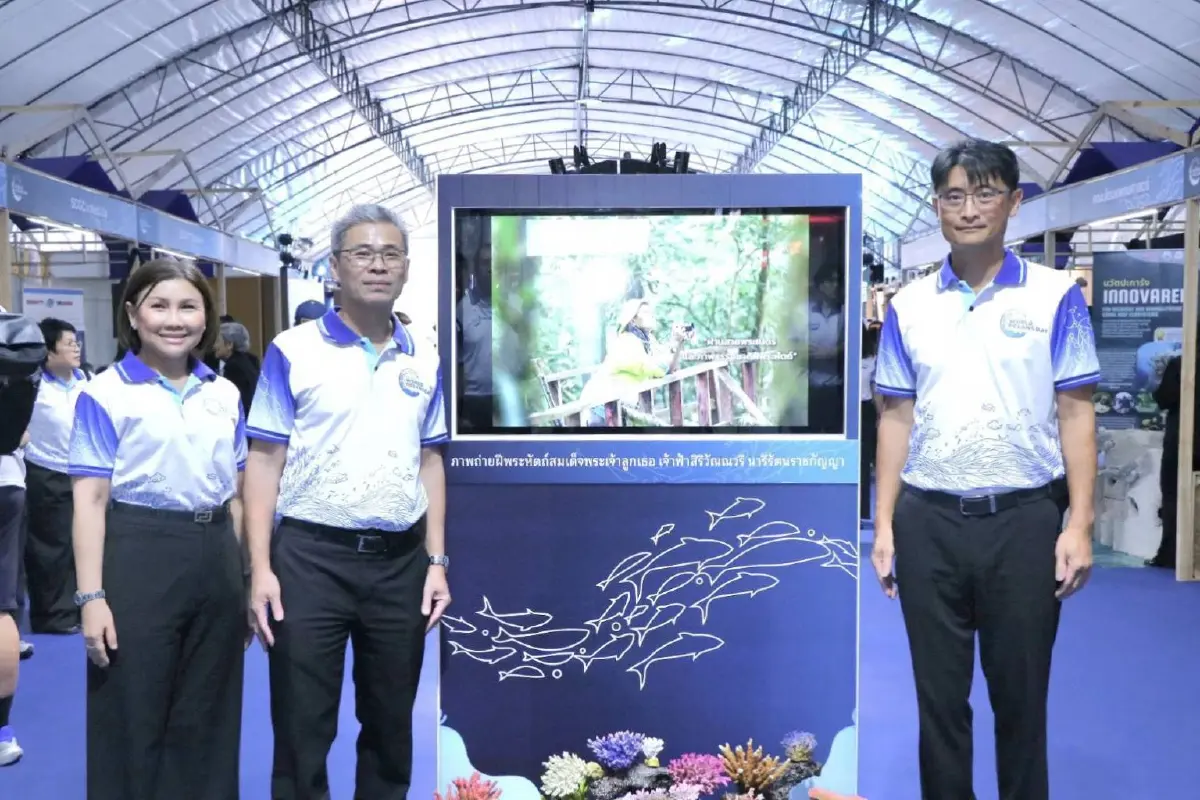 ทช. จัดกิจกรรม "วันทะเลโลก 2569" เดินหน้าอนุรักษ์-ฟื้นฟูทะเล