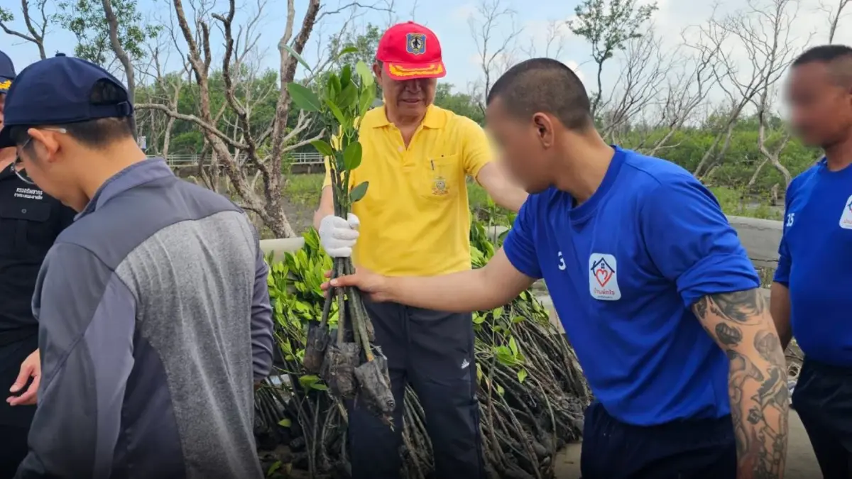 มูลนิธิกู้ภัยร่มไทร-เครือข่าย ร่วมปลูกป่าชายเลน เฉลิมพระเกียรติพระราชินี