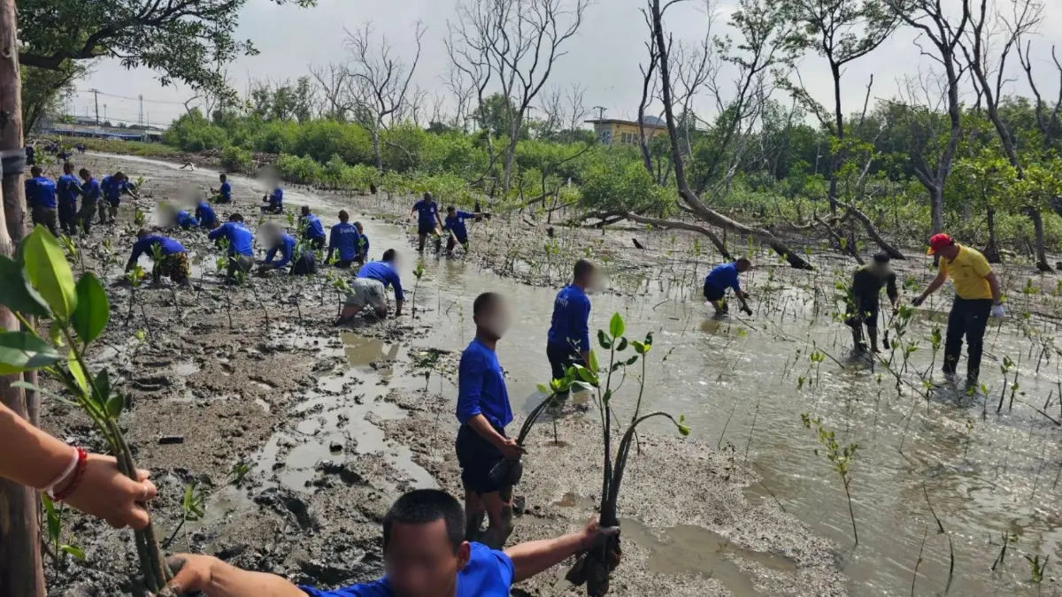 มูลนิธิกู้ภัยร่มไทร-เครือข่าย ร่วมปลูกป่าชายเลน เฉลิมพระเกียรติพระราชินี