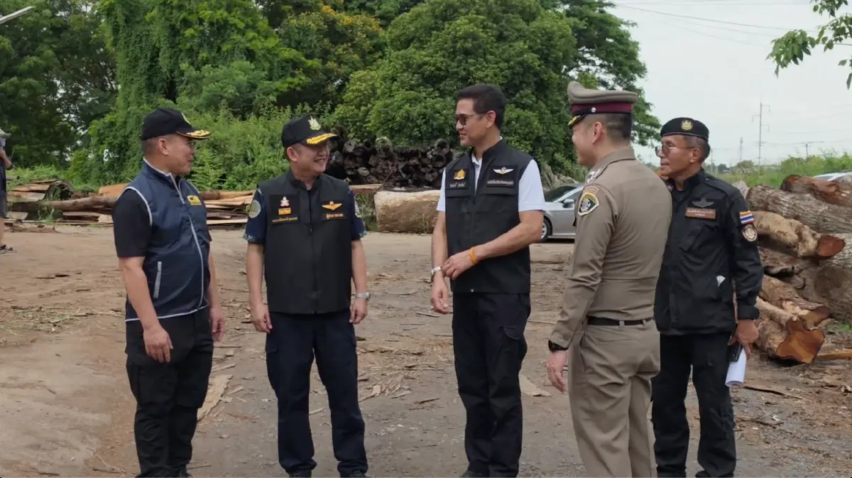 ปทส. บุกตรวจโรงเลื่อยอยุธยา อายัดไม้หวงห้ามต้องสงสัย ขยายผลโยงขบวนการตัดไม้ทำลายป่าภาคเหนือ 