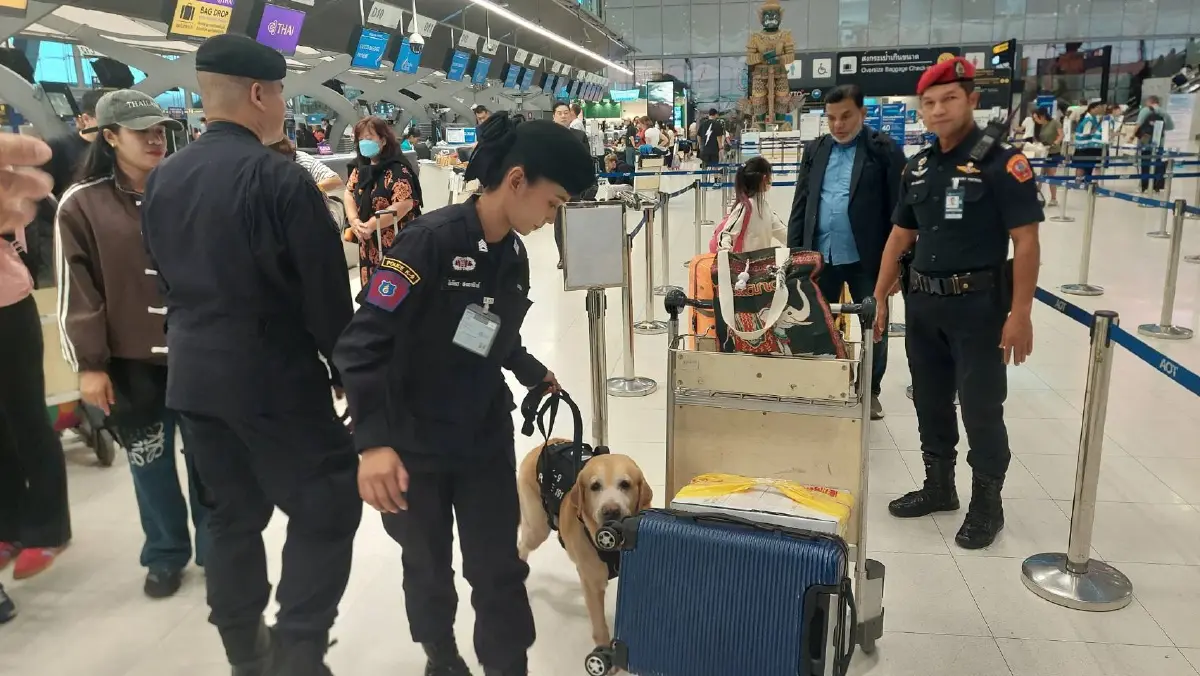 ตรวจเข้ม! 191 ใช้ "สุนัข K9" เฝ้า "สนามบินสุวรรณภูมิ" 24 ชม. สกัดเครือข่ายยาเสพติดข้ามชาติ (มีคลิป)