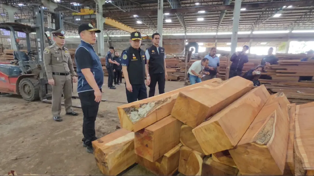 ปทส. บุกตรวจโรงเลื่อยอยุธยา อายัดไม้หวงห้ามต้องสงสัย ขยายผลโยงขบวนการตัดไม้ทำลายป่าภาคเหนือ 