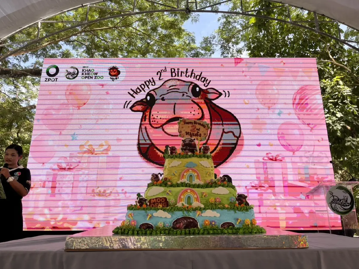 เบิร์ดเดย์ หมูเด้ง 2 ขวบ คึกคัก! เปิดแผน Hippo Village 75 ล้าน