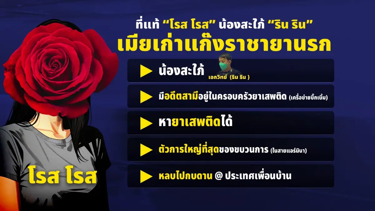 กราฟิกขบวนการเครือข่ายแอร์มีนา