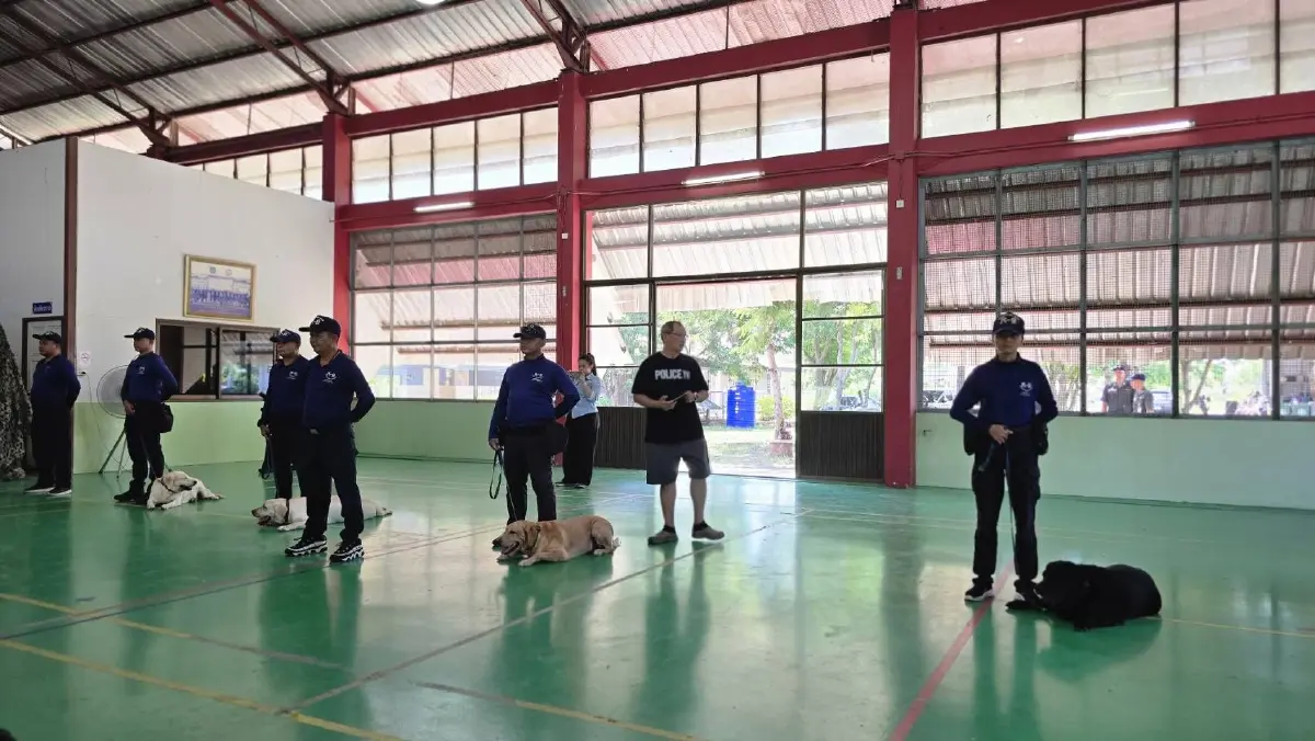 ส่องภารกิจ K9 สุนัขตำรวจ ตชด. สแกนบึ้ม-ยาเสพติด เสริมทัพสนามบิน