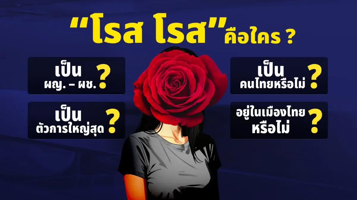 กราฟิกขบวนการเครือข่ายแอร์มีนา