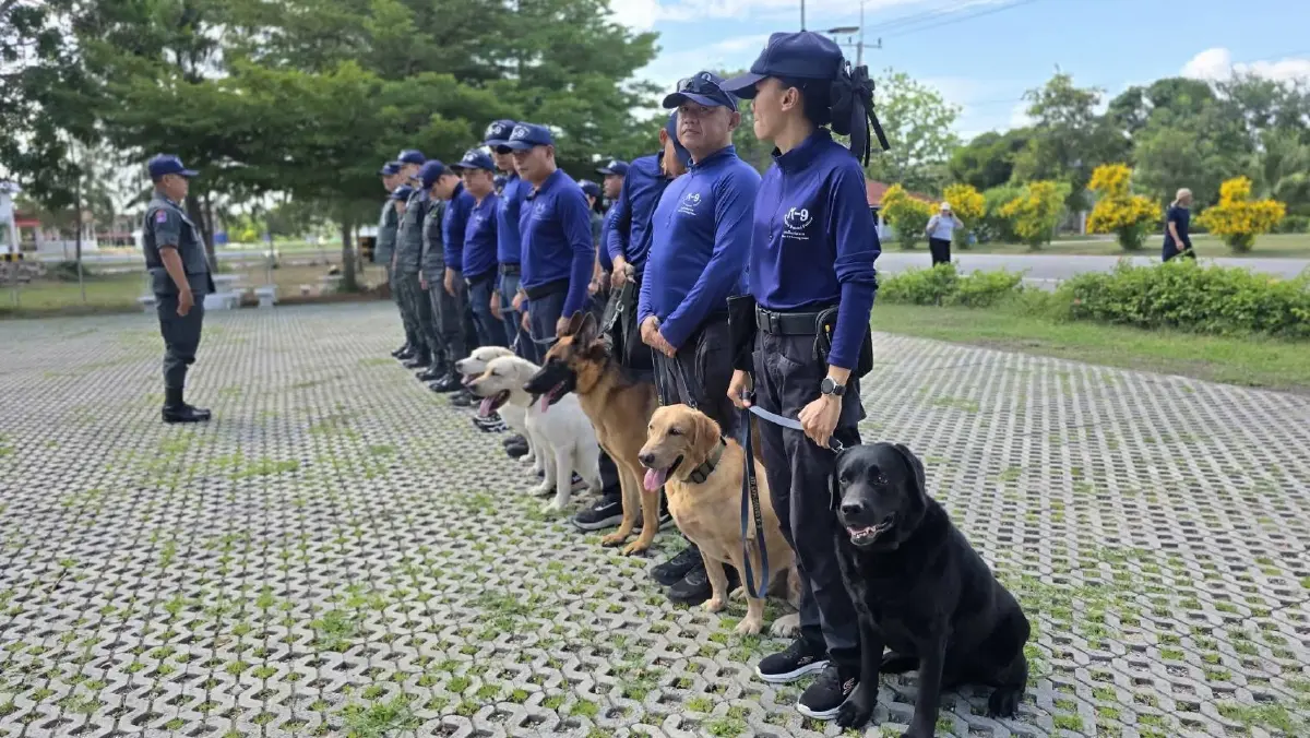 ส่องภารกิจ K9 สุนัขตำรวจ ตชด. สแกนบึ้ม-ยาเสพติด เสริมทัพสนามบิน