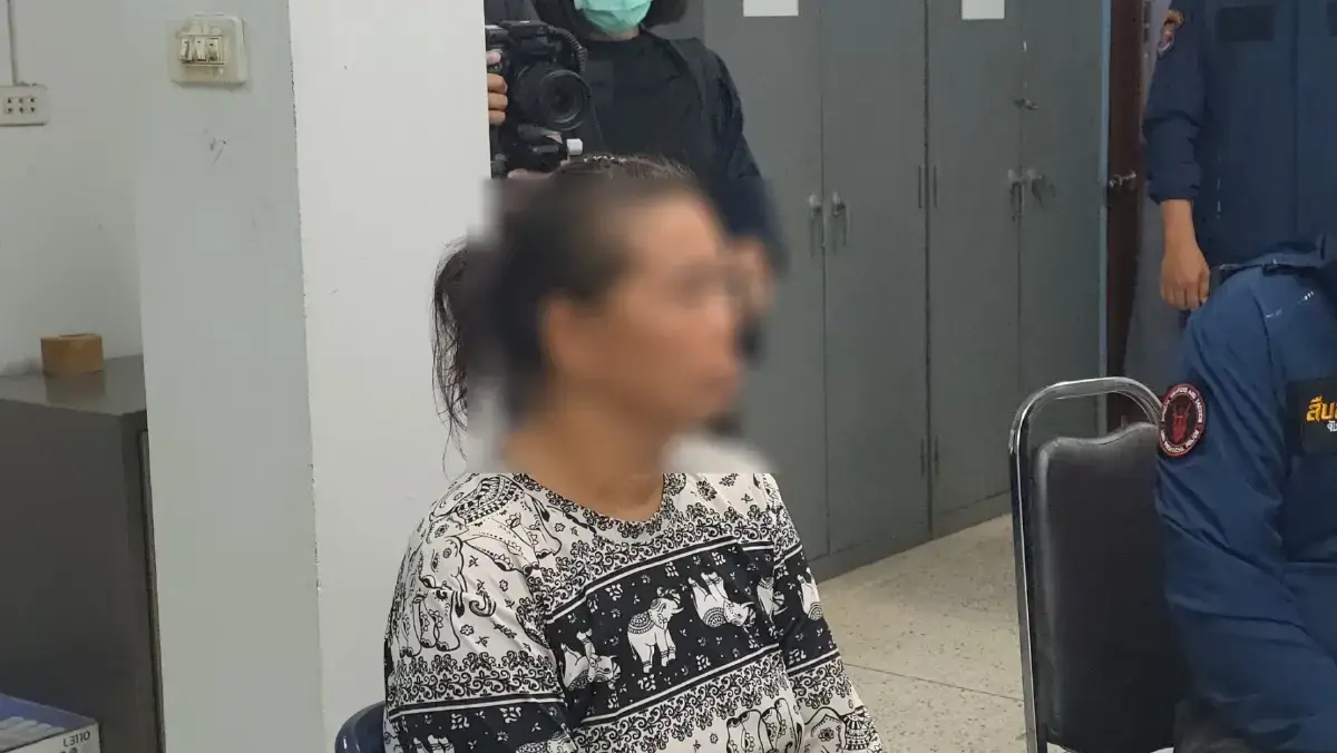 คนส่งพัสดุซุกเฮโรอีนให้แอร์มีนา