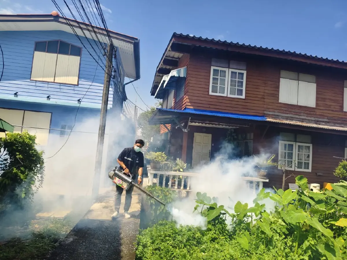 "ส.ก.บางกะปิ" เร่งคุม "ไข้เลือดออก" ระบาดชุมชนเดียว 12 ราย
