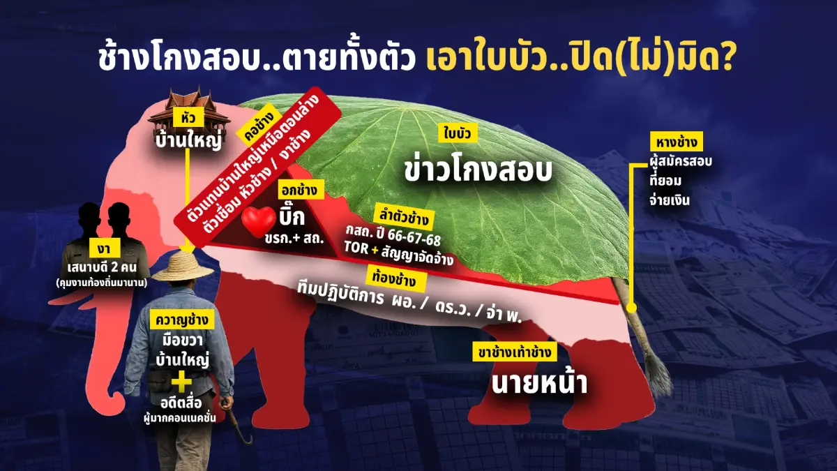 ช้างโกงสอบ..ตายทั้งตัว เอาใบบัว..ปิด(ไม่)มิด? แฉจุดพลิกเกม “โกงสอบ” ตัดตอน “หัวช้าง”
