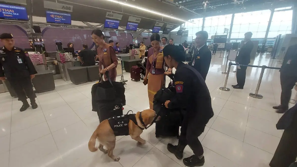 ตรวจเข้ม! 191 ใช้ "สุนัข K9" เฝ้า "สนามบินสุวรรณภูมิ" 24 ชม. สกัดเครือข่ายยาเสพติดข้ามชาติ (มีคลิป)