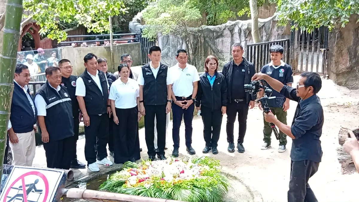 เบิร์ดเดย์ หมูเด้ง 2 ขวบ คึกคัก! เปิดแผน Hippo Village 75 ล้าน