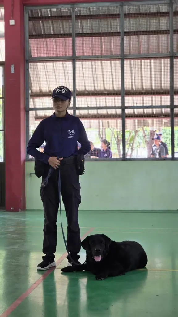 ส่องภารกิจ K9 สุนัขตำรวจ ตชด. สแกนบึ้ม-ยาเสพติด เสริมทัพสนามบิน