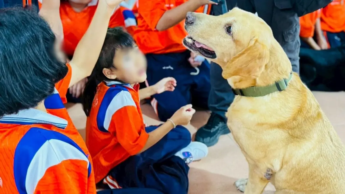 ตชด.นำทีม K9  ทำกิจกรรมสุนัขบำบัด มอบความสุขเด็ก รร.เพชรบุรีปัญญานุกูล