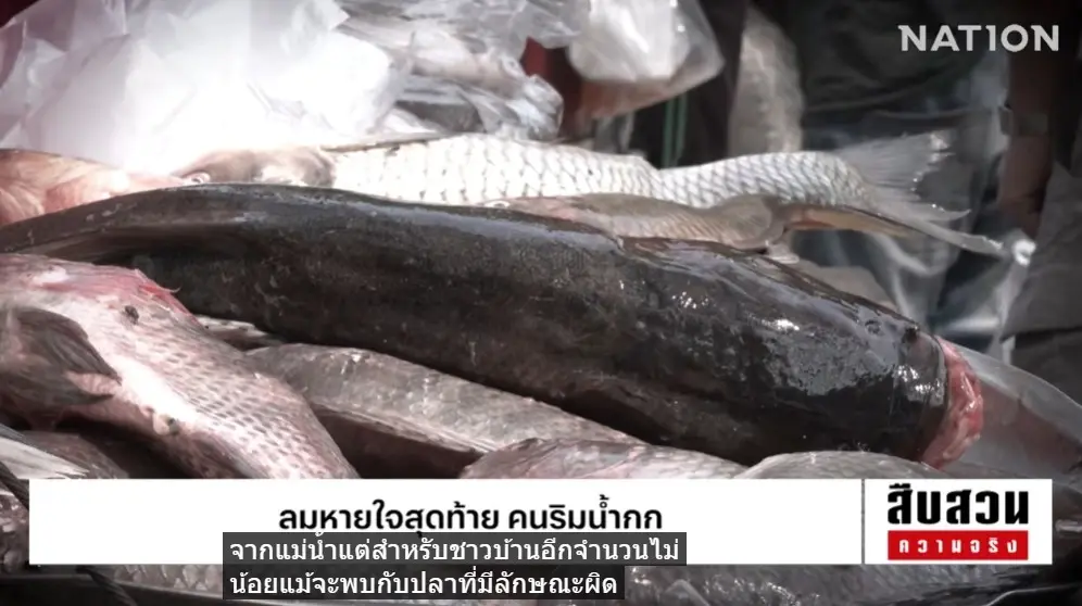 สืบสวนความจริง! "ลมหายใจสุดท้าย คนริมน้ำกก" มหันตภัยสารพิษจากเหมืองแร่นายทุนจีน