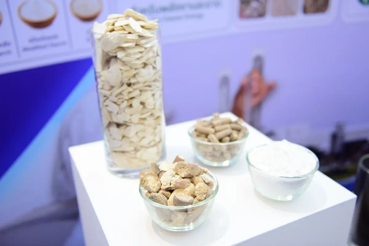 พาณิชย์ x สสว. จัด Thai Tapioca Nexus 2026 ดันส่งออกมันสำปะหลัง 2,600 ล้าน
