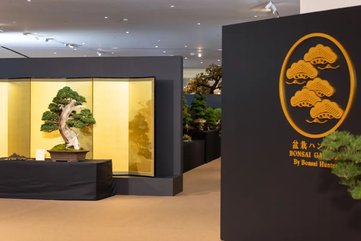 สยามพารากอน จัด The Wondrous Japan Heritage 2026 สัมผัสจิตวิญญาณแห่งซามูไร-นินจา โชว์บอนไซ 500 ปี