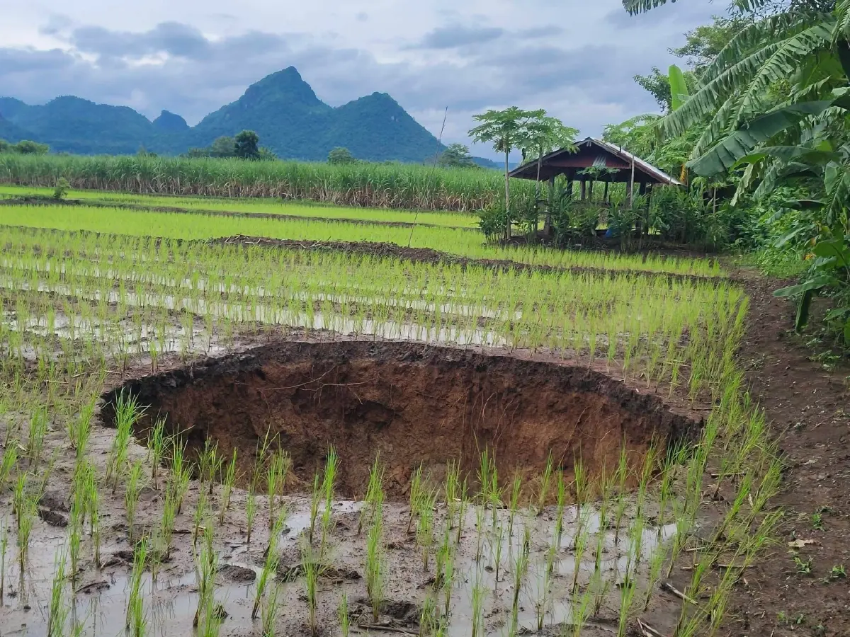 ชาวบ้านผวา! “หลุมยุบ” ขนาดใหญ่กลางทุ่งนา-ไร่อ้อย  7 หลุม