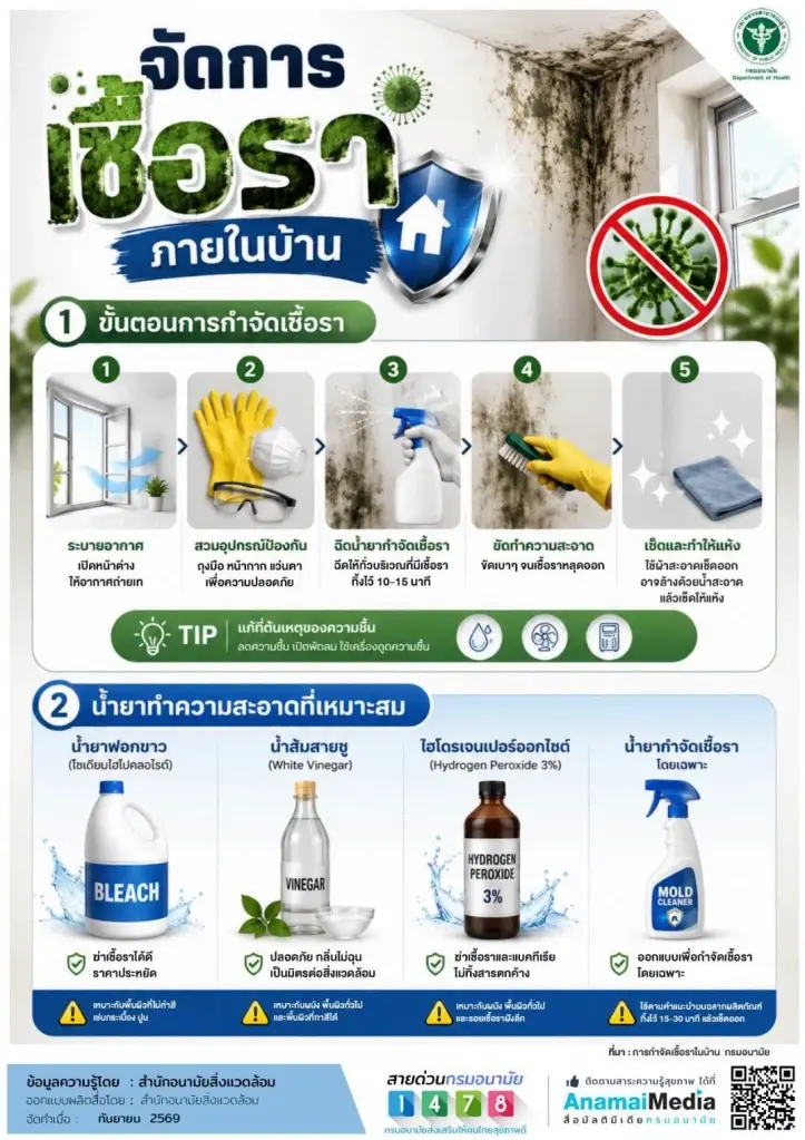 จัดการเชื้อราภายในบ้านอย่างถูกวิธี