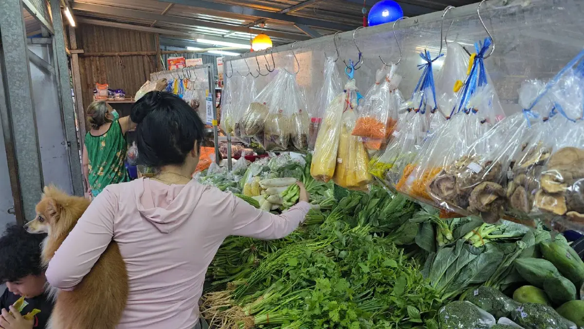 ส่องกระแสโค้งสุดท้าย “ไทยช่วยไทย พลัส” ร้านค้าโคราชวอนรัฐต่อมาตรการ หวั่นการค้าเงียบเหงาหลังสิ้นสุดโครงการ