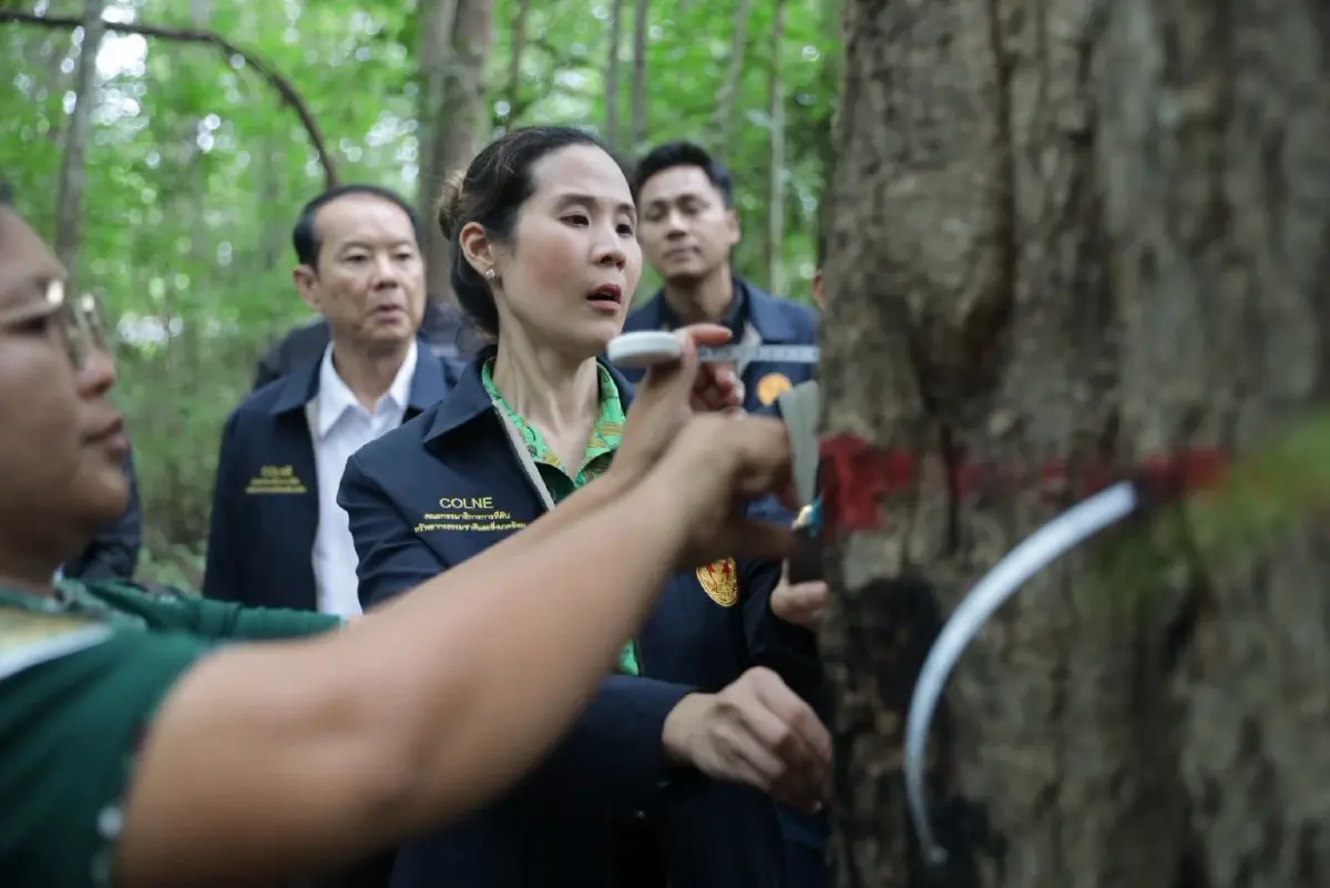 กมธ.ที่ดินฯ ชงแก้ข้อจำกัดคาร์บอนเครดิต-กระจายความรู้ชุมชน