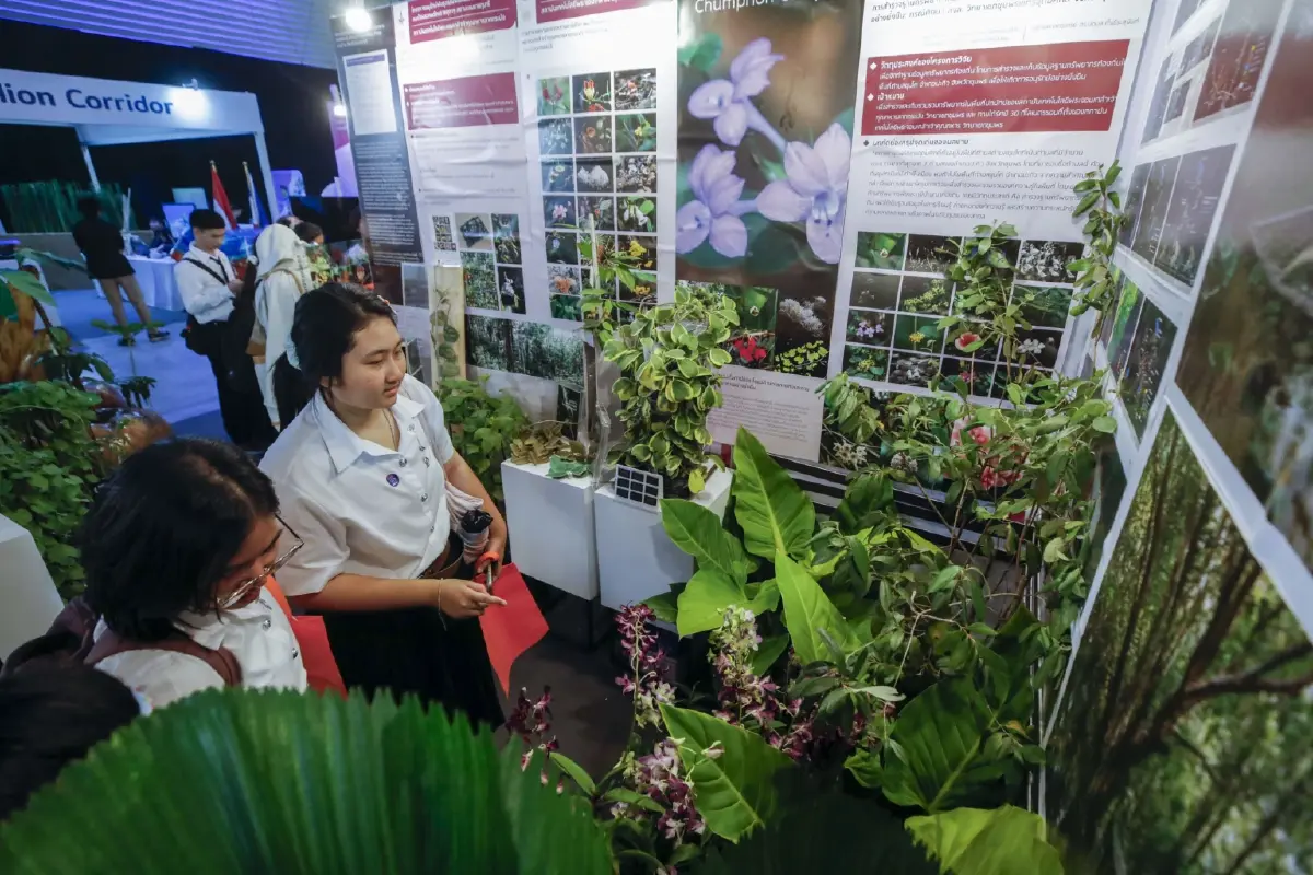 เปิดประสบการณ์ "ทะเลไทยในโลกเสมือน" พาดำดิ่งผ่าน LearningVR