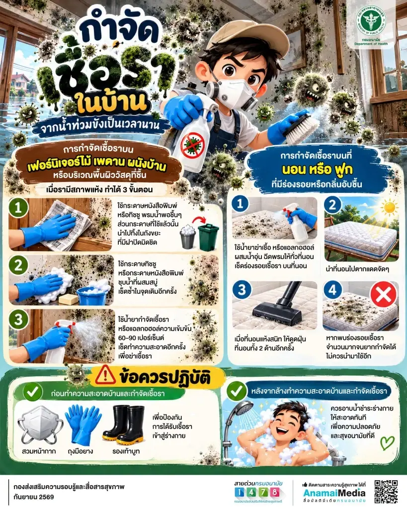 เคล็ดลับกำจัดเชื้อรา หลังน้ำลด