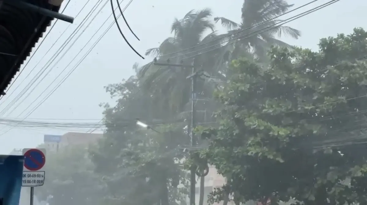พายุฝนถล่มเชียงใหม่หนัก! ตัวเมือง-แม่ริมเจอฝนตกต่อเนื่องกว่า 1 ชม. ลุ่มต่ำระวังน้ำท่วม "ผู้ว่าฯ" เกาะติดสถานการณ์
