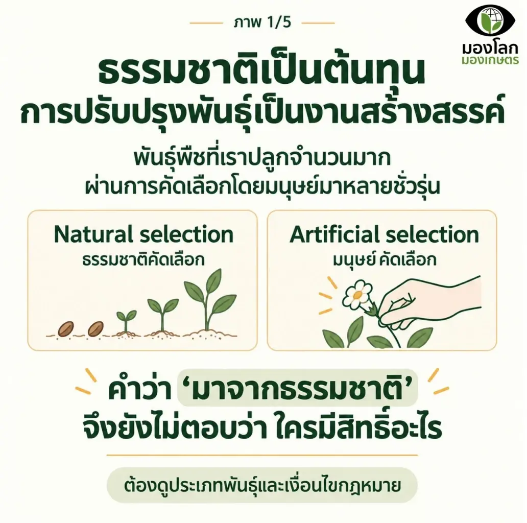 “ดร.ปิยะ” ป้องนักปรับปรุงพันธุ์ไทย ชี้ป้องกันต่างชาตินำไปสวมสิทธิ