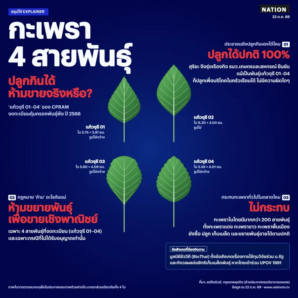 สยบดรามาผูกขาดกะเพรา ยันมีฐาน DNA ทับสิทธิ์ไม่ได้ ชี้พันธุ์ซีพีแรม คุมปลูกป้อนโรงงาน
