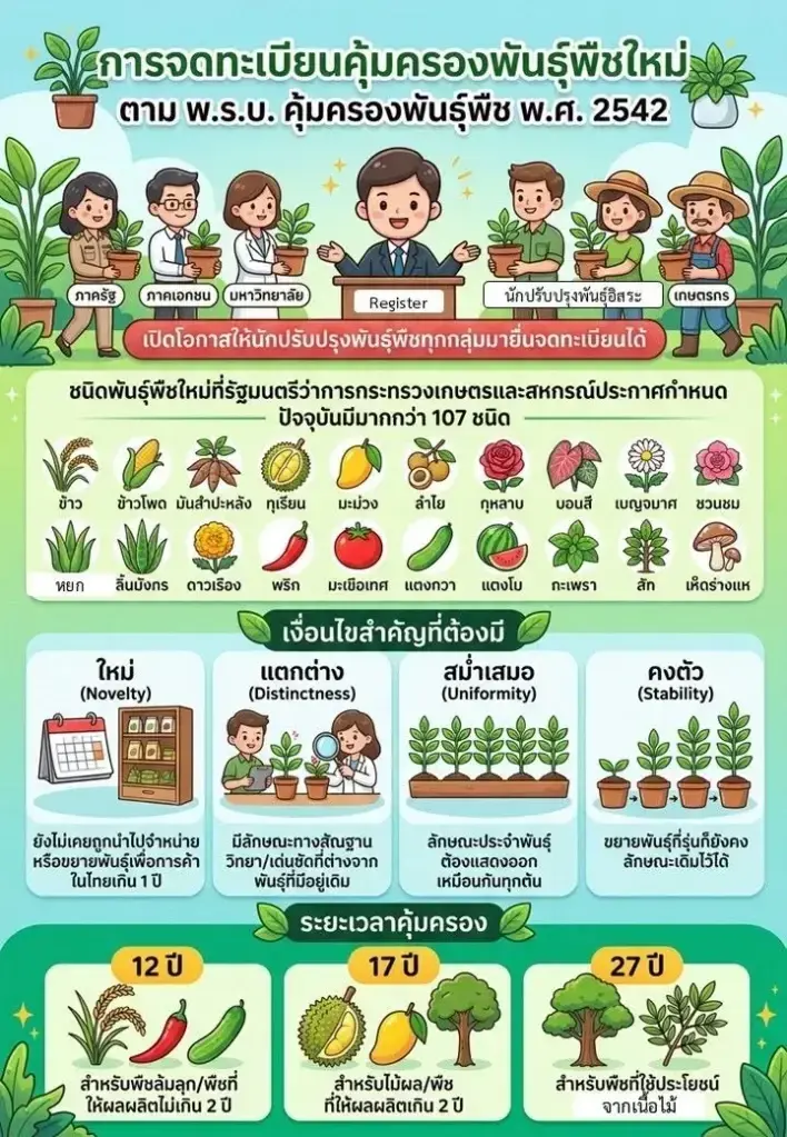 ไขปม UPOV 1991–กะเพรา 4 สายพันธุ์ หวั่นฉุดวิจัย ดับ Seed Hub
