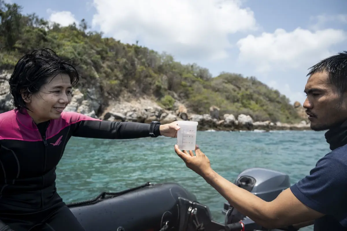 นักวิจัยจุฬาฯ เตรียมส่งจุลินทรีย์ปะการังขึ้นอวกาศ-ศึกษาทางรอดยุคโลกร้อน
