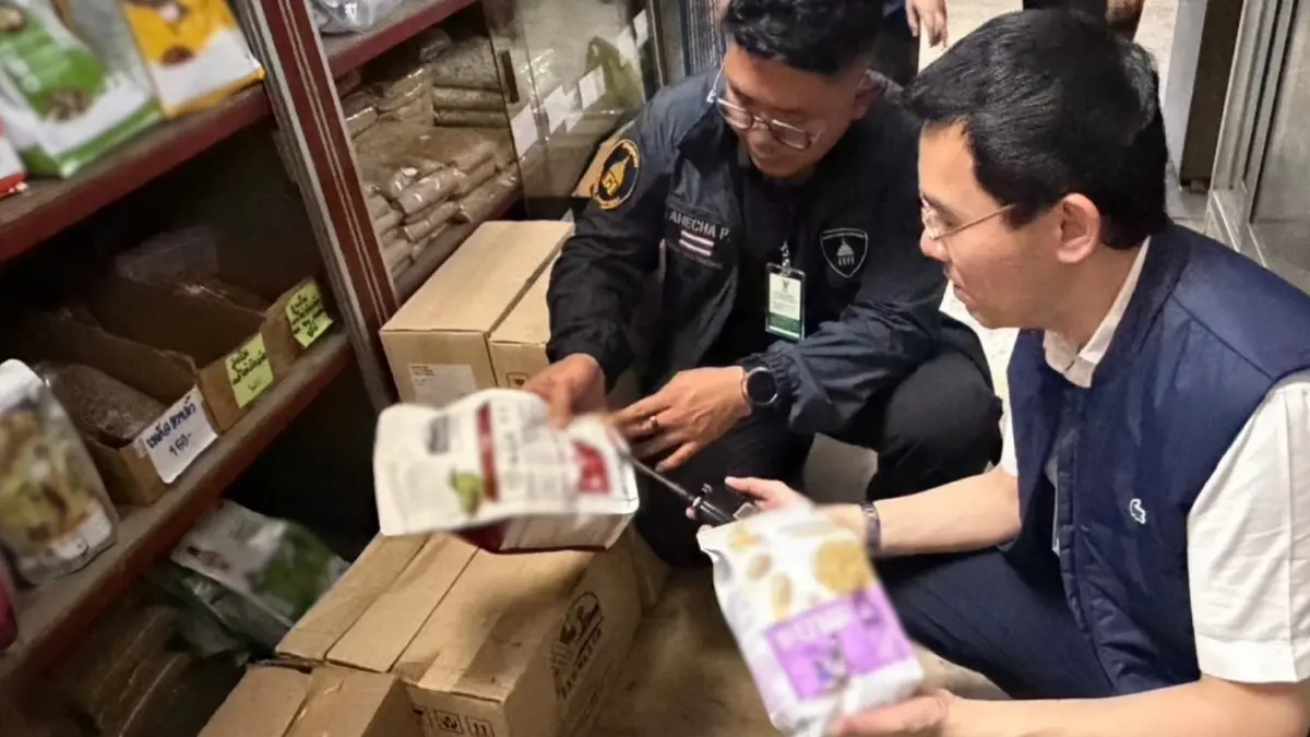 ศุลกากรช่องจอม บุกร้านอาหารสัตว์ 2 แห่งในโคราช ลักลอบนำเข้าเพียบ