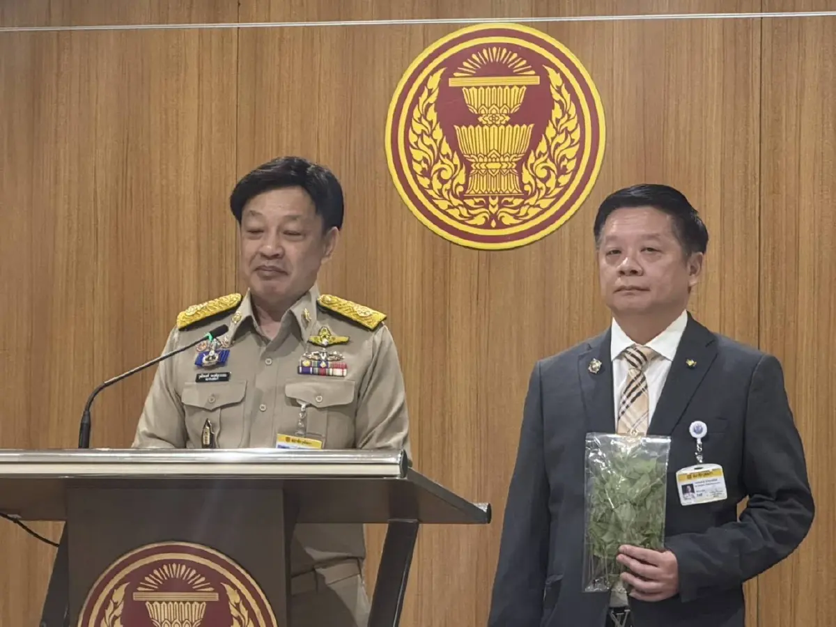 "สว." ออกโรงป้อง "กะเพราไทย" กังวลผูกขาด-จี้รัฐแจงสิทธิปลูกให้ชัด ยัน "กะเพรา" เป็นพืชสมบัติชาติ