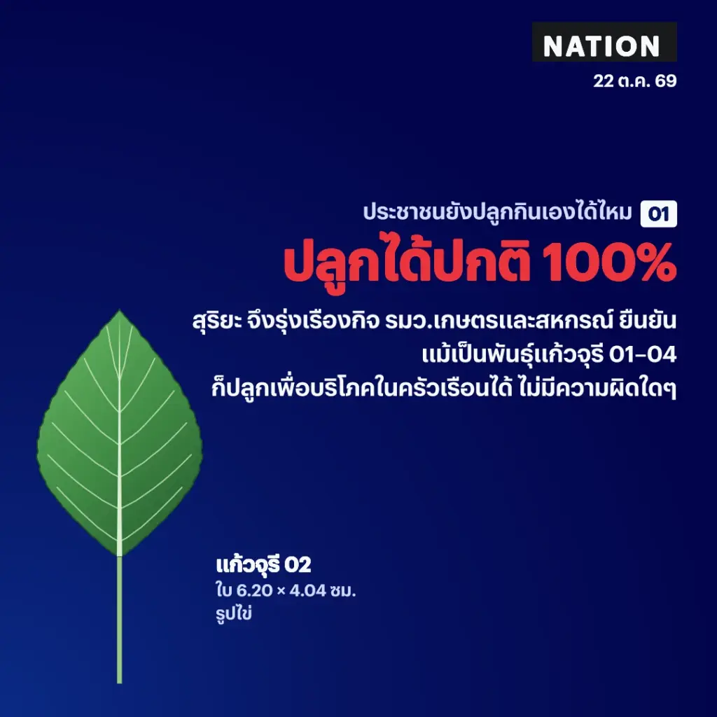 ถอดรหัสกะเพราไทย 4 สายพันธุ์ใหม่ ผูกขาดจริงหรือข่าวปล่อย