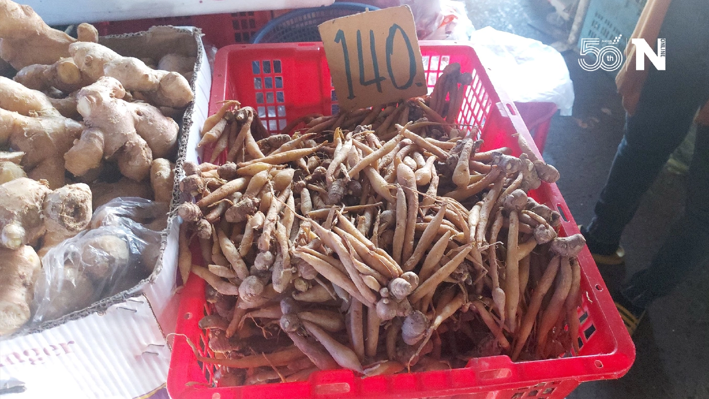 แพงขนาดไหนก็ซื้อ!พืชสมุนไพรขิง-ข่า-กระชาย ราคาพุ่งไม่พอขาย