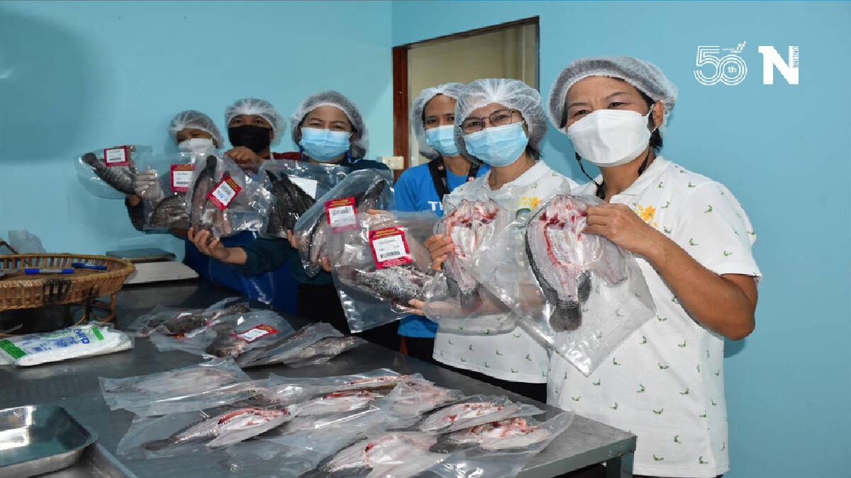เด็ดแน่นอน!-ปลานิลหมักเกลือหิมาลัย เพื่อสุขภาพ-กินได้ยันก้าง