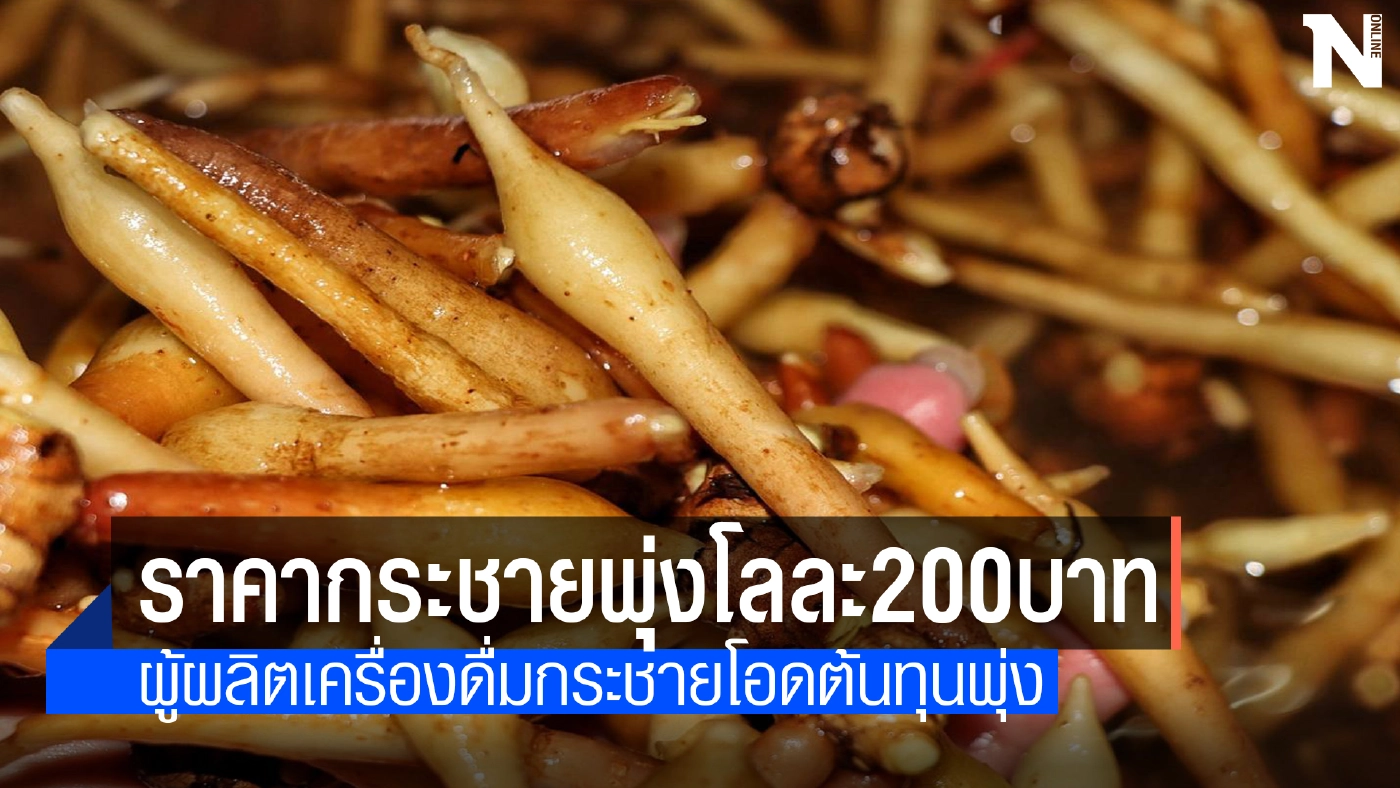 ธุรกิจน้ำกระชายเริ่มกระทบหลังราคากระชายพุ่งสูงขึ้น