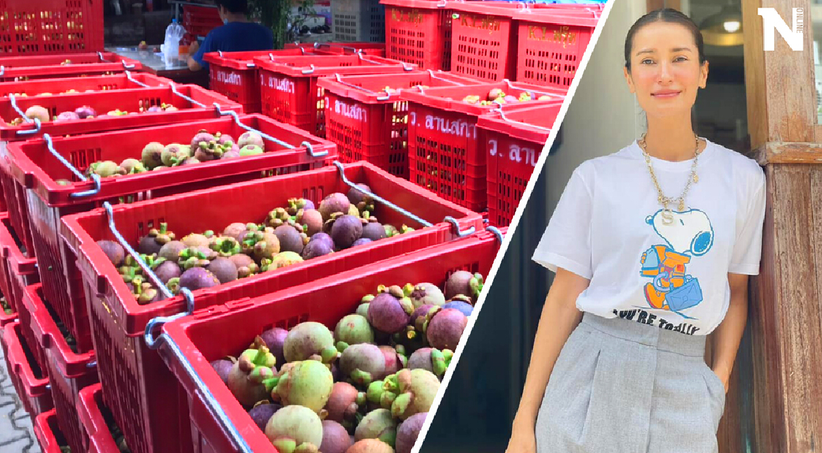 แอน ทองประสม เหมามังคุดเมืองคอนแจกรพ.สนามทั่วกรุงฯ แอน ทองประสม เหมามังคุดเมืองคอนแจกรพ.สนามทั่วกรุงฯ