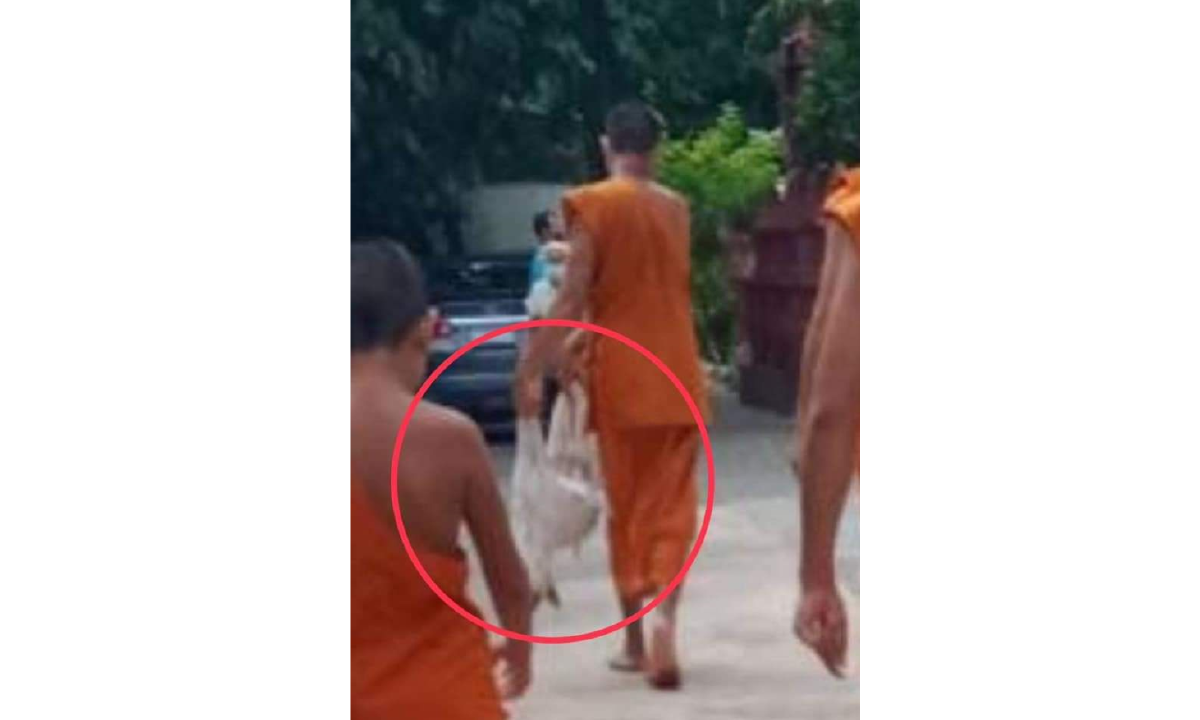 จวกยับ!รับพัดยศเจ้าอาวาส กลัวหมาเพ่นพ่าน จับไปปล่อยบ่อขยะเจ็บตายอื้อ