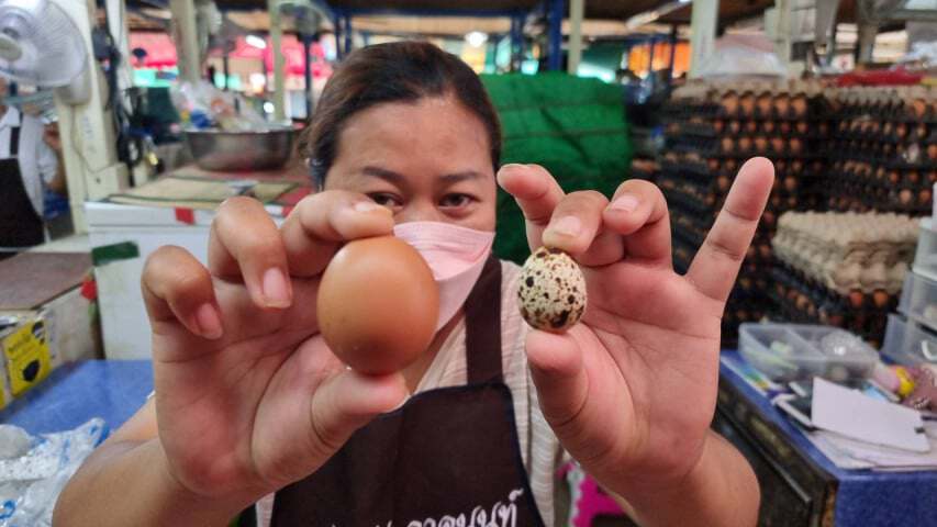 แม่ค้าขายไข่ไก่ โชว์ไข่ยุคลุงตู่เทียบไข่นกกระทา ประชดใบเล็กแถมแพง