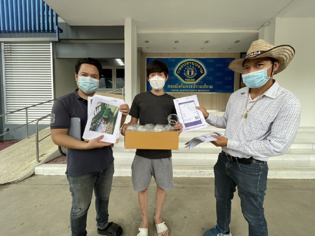 ผู้เสียหายร้องกองปราบฯถูกหลอกซื้อกล้วยพันธุ์แดงอินโดไม่ตรงปกสูญ 4 ล้าน