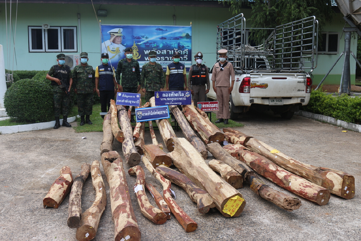 นรข.อุบลฯยึดไม้พะยูง26ท่อนมูลค่า6แสนเตรียมข้ามโขงส่งลาว