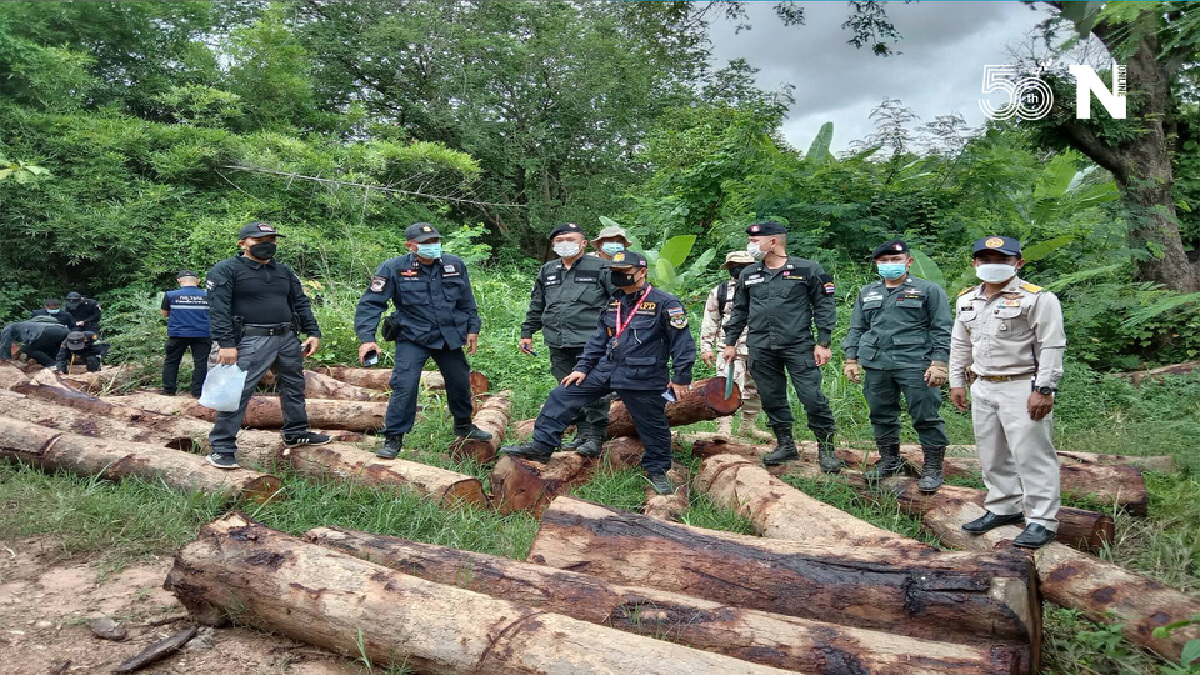พบไม้ประดู่ท่อนซุกซ่อนในป่า-เตรียมสาวถึงต้นตอ พบไม้ประดู่ท่อนซุกซ่อนในป่า-เตรียมสาวถึงต้นตอ