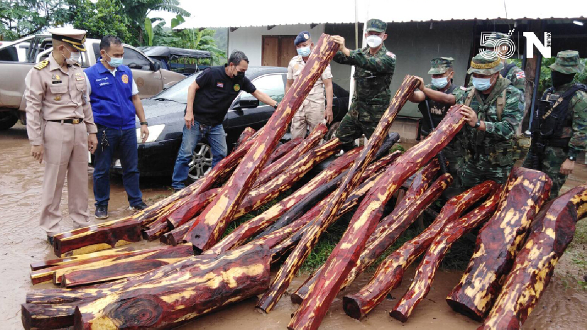 นรข.ฝ่าสายฝนลุยยึดรถเก๋งขนไม้พะยูง30ท่อนผู้ต้องหา1ราย
