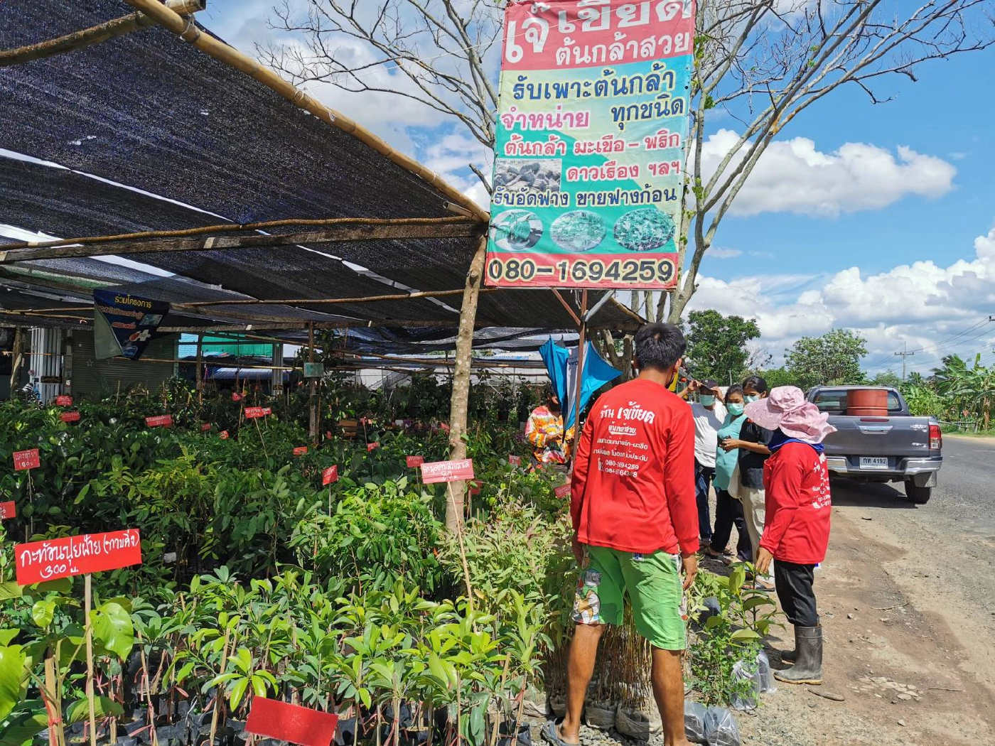ร้านเพาะกล้าไม้รับอานิสงส์ ปชช.หนีโควิดกลับบ้านแห่ซื้อต้นไม้ปลูกคึกคัก